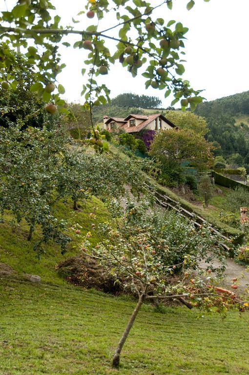 Trisqueles Y Buganvillas 比利亚维西奥萨 外观 照片