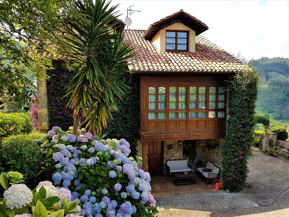 Trisqueles Y Buganvillas 比利亚维西奥萨 外观 照片